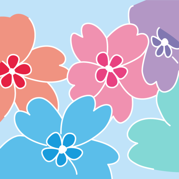 Primula